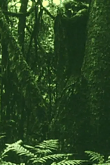Plakat do filmu "Os Olhos na Mata e o Gosto na Água" #1200167