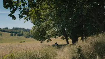 Zasłona do filmu "Igrzyska śmierci: Ballada ptaków i węży" #837876