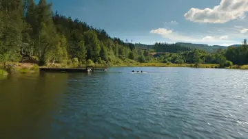 Zasłona do filmu "Igrzyska śmierci: Ballada ptaków i węży" #837887