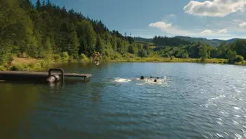 Zasłona do filmu "Igrzyska śmierci: Ballada ptaków i węży" #837888