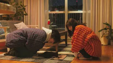 Zasłona do filmu "花束みたいな恋をした" #894137