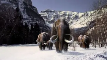 Zasłona do filmu "The Mammoth. Titan of the Ice Age" #983194