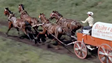 Zasłona do filmu "Chuckwagon" #1578841