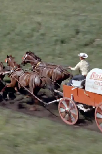 Chuckwagon plakat