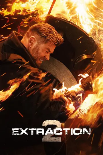 Plakat do filmu "Tyler Rake 2" #10806