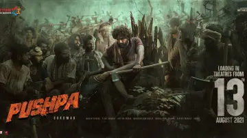 Zasłona do filmu "Pushpa" #1563302