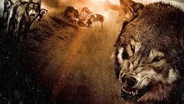 Zasłona do filmu "Wolf Town" #701305