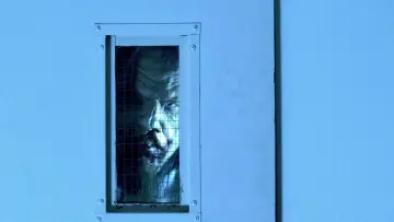 Zasłona do filmu "Droga bez powrotu 4: Krwawe początki" #1179612