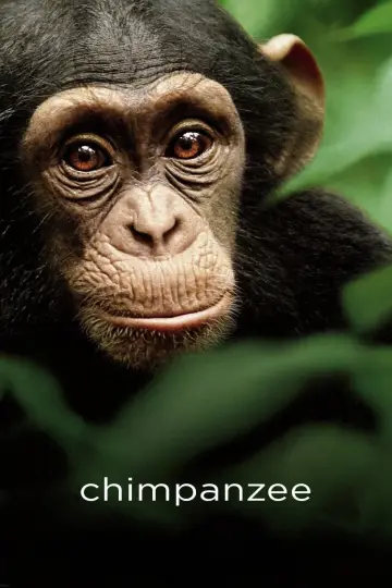 Plakat do filmu "Szympans" #1103501