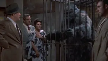 Zasłona do filmu "Gorilla at Large" #1573636
