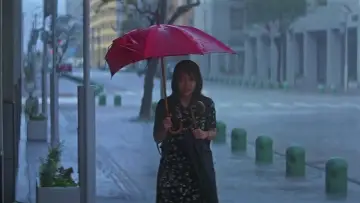 Zasłona do filmu "四月物語" #446059
