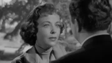 Zasłona do filmu "The Bigamist" #481925