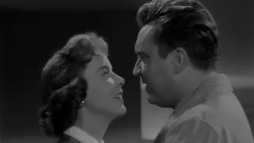 Zasłona do filmu "The Bigamist" #481931