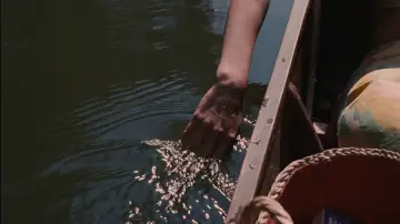 Zasłona do filmu "Wypadek" #1119653