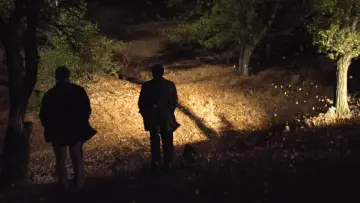 Zasłona do filmu "Pewnego razu w Anatolii" #211363