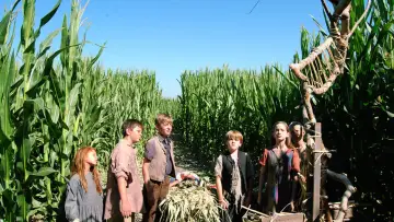 Zasłona do filmu "Dzieci Kukurydzy VIII: Geneza" #437553