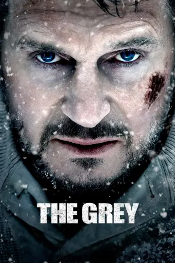 Plakat do filmu "Przetrwanie" #279103