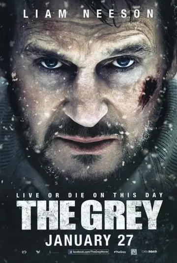 Plakat do filmu "Przetrwanie" #279106