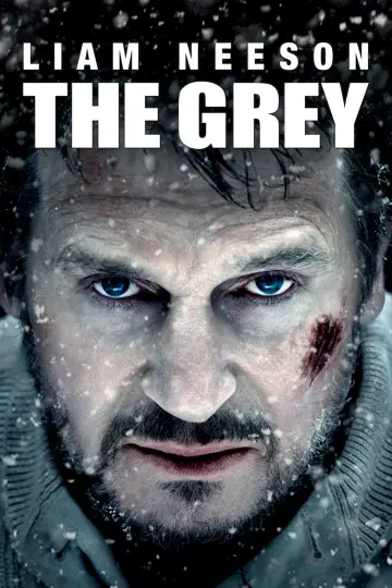 Plakat do filmu "Przetrwanie" #279112