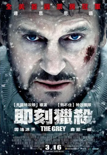Plakat do filmu "Przetrwanie" #472803