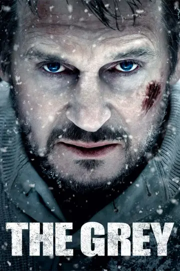 Plakat do filmu "Przetrwanie" #698128