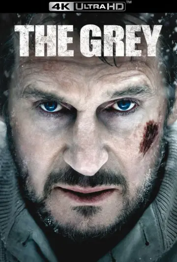 Plakat do filmu "Przetrwanie" #698129