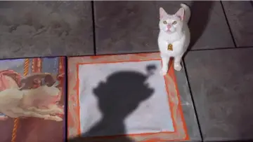 Zasłona do filmu "The Cat That Looked at a King" #1035554