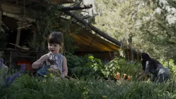 Zasłona do filmu "Niepamięć" #274395