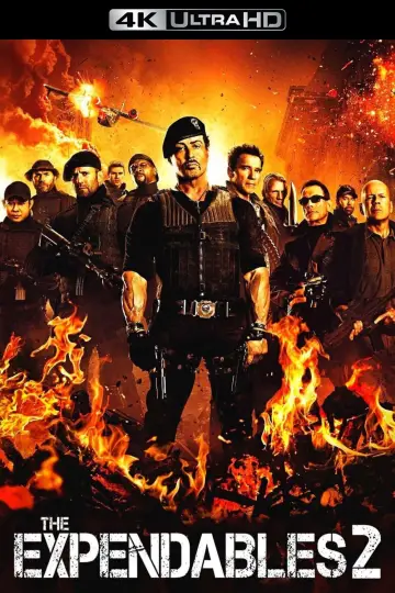 Plakat do filmu "Niezniszczalni 2" #34793