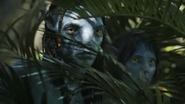 Zasłona do filmu "Avatar: Istota wody" #161403