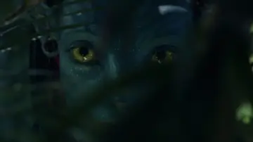 Zasłona do filmu "Avatar: Istota wody" #520688