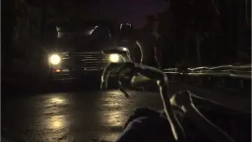 Zasłona do filmu "ParaNorman" #966506