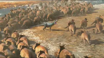Zasłona do filmu "Wędrówki z dinozaurami 3D" #903454