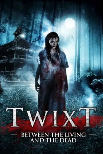 Plakat do filmu "Twixt" #713059