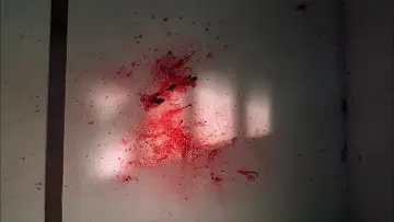Zasłona do filmu "Terroryści" #1012457