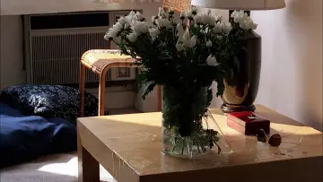 Zasłona do filmu "Terroryści" #1012458