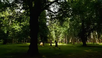 Zasłona do filmu "Bugonia" #511905