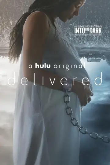 Plakat do filmu "Into the Dark 20: Delivered" #1132568