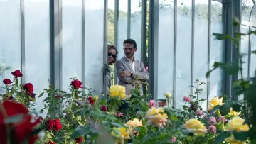 Zasłona do filmu "Usłane różami" #445694