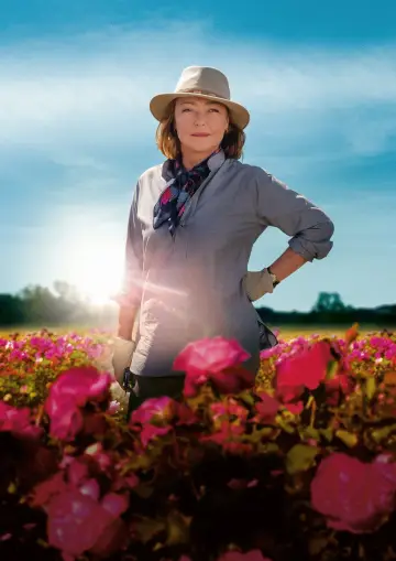 Plakat do filmu "Usłane różami" #445697