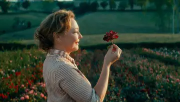 Zasłona do filmu "Usłane różami" #455539
