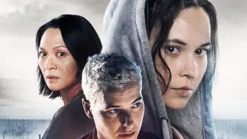 Zasłona do filmu "Układ" #497242