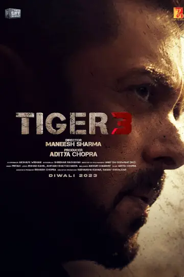 Plakat do filmu "Tiger 3" #333106