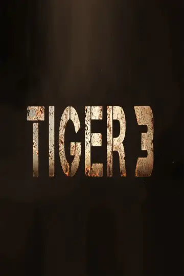 Plakat do filmu "Tiger 3" #61835