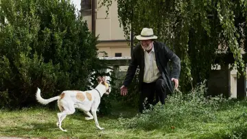 Zasłona do filmu "Gump: Pies, który nauczył ludzi żyć" #393514