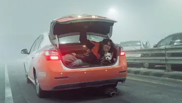 Zasłona do filmu "Operacja Cisza" #598379