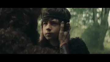 Zasłona do filmu "Irati" #432432