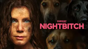 Zasłona do filmu "Nocna suka" #643597