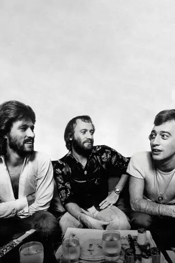 Plakat do filmu "The Bee Gees: How Can You Mend a Broken Heart" #403716