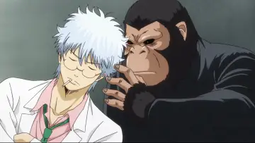 Zasłona do filmu "Gintama: The Final" #943882